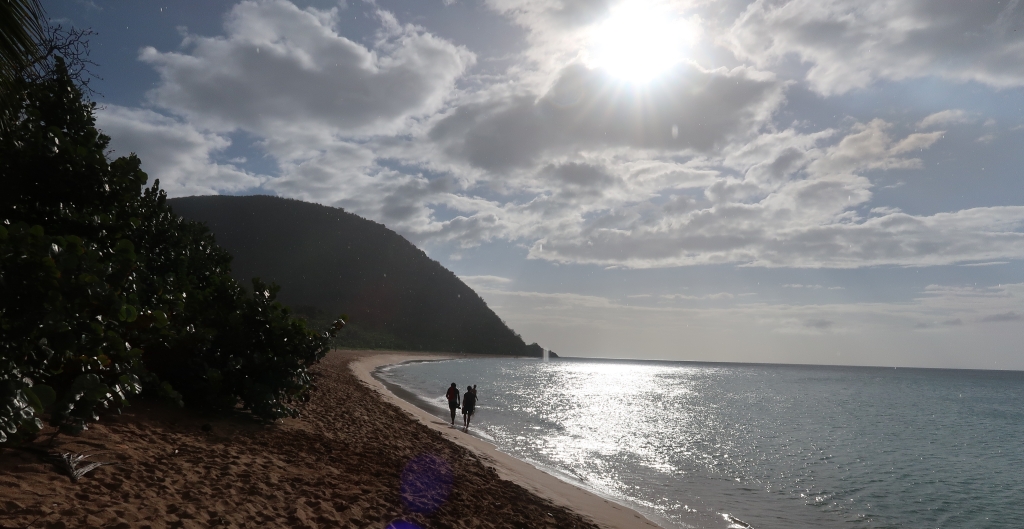 Caribbean island hopping: the long curved beach of Guadeloupe's Petite Anse
